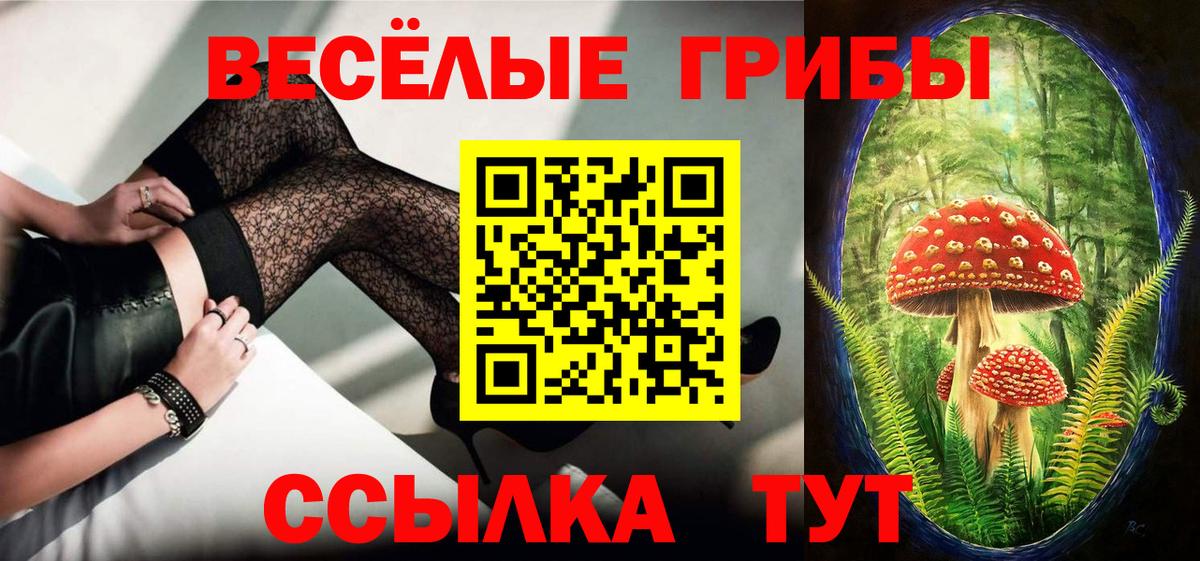 Мирный  Псилоцибиновые грибы мухоморы  Вход с VPN 