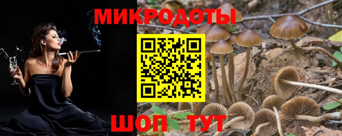 Псилоцибиновые грибы Cubensis Мирный